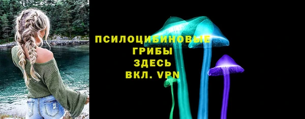 кокс Алексин