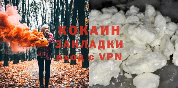 кокс Алексин